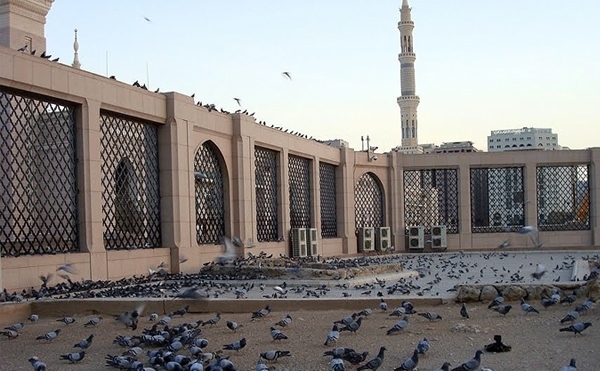 السيدة أم البنين عليها السلام وقبسات من حياتها المباركة